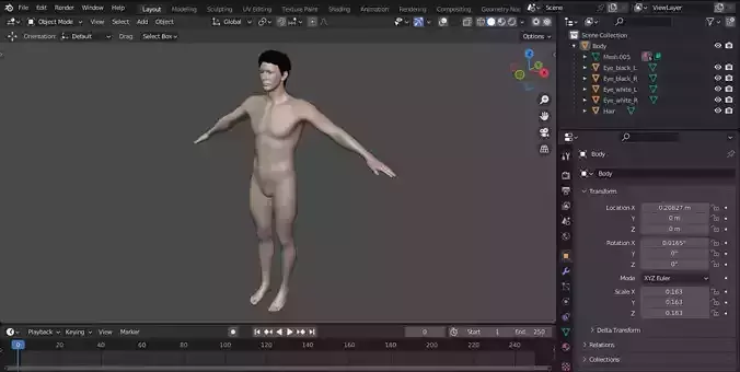 Realistic Nude Male Model