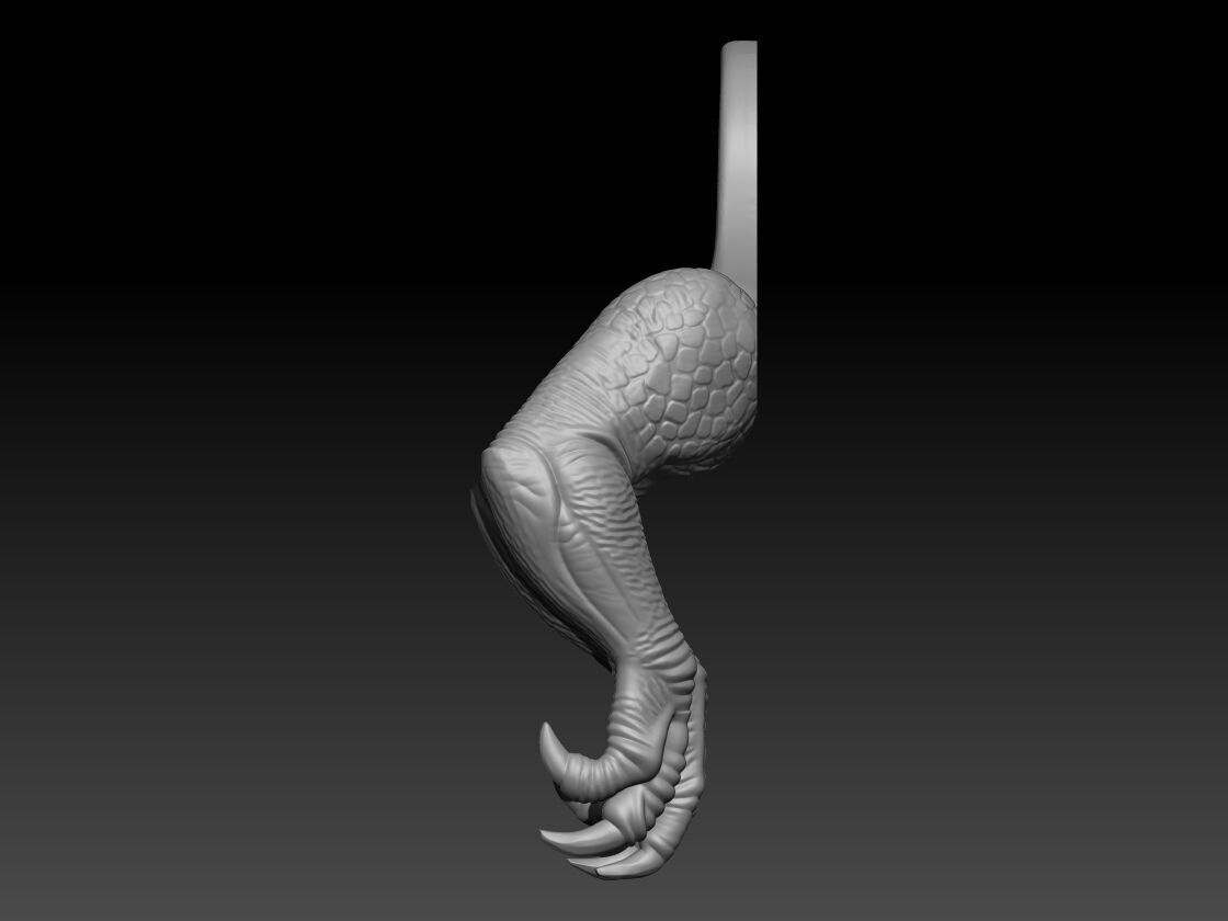 Cat trex arm - Cat-Rex  3D print model_3