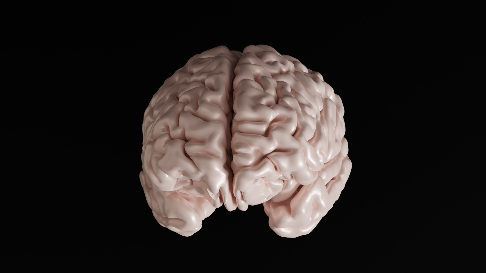 Brain Anatomy  3D print model_5