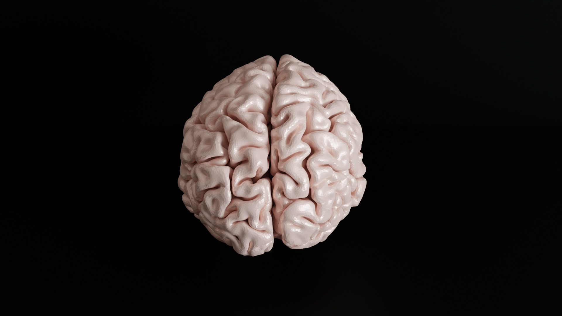 Brain Anatomy  3D print model_2