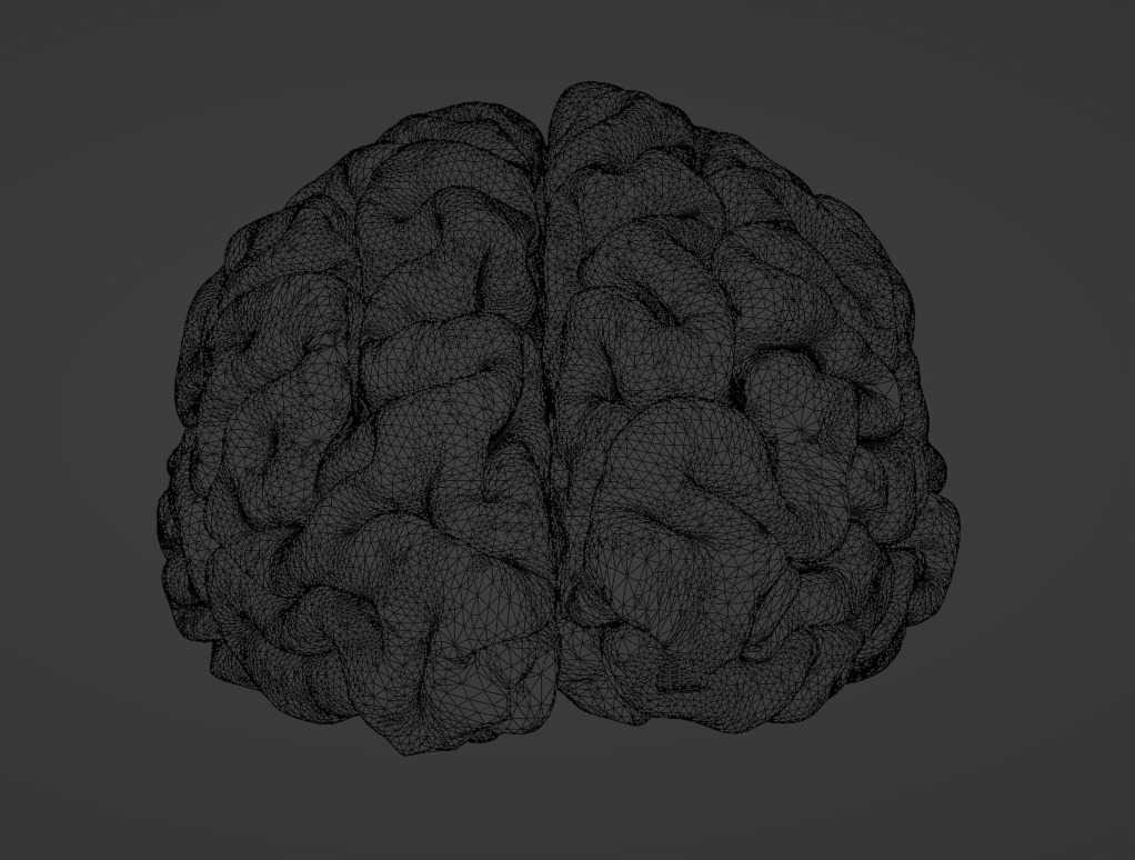 Brain Anatomy  3D print model_3