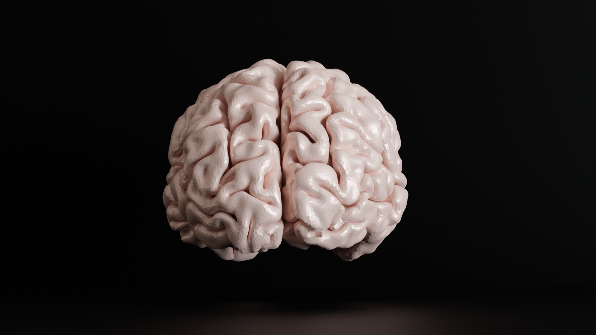 Brain Anatomy  3D print model_1