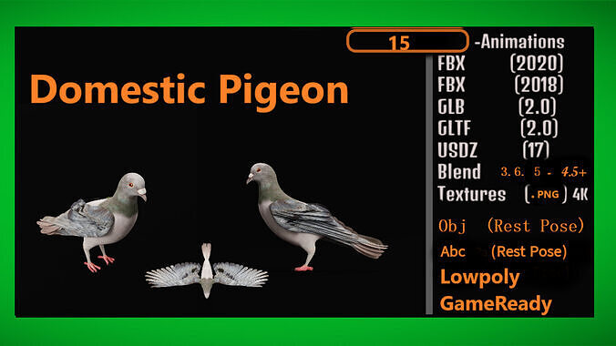 Pigeon Low-poly 3D model