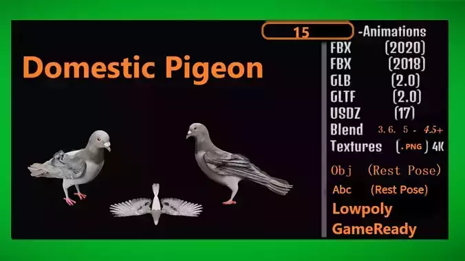 Pigeon Low-poly 3D model