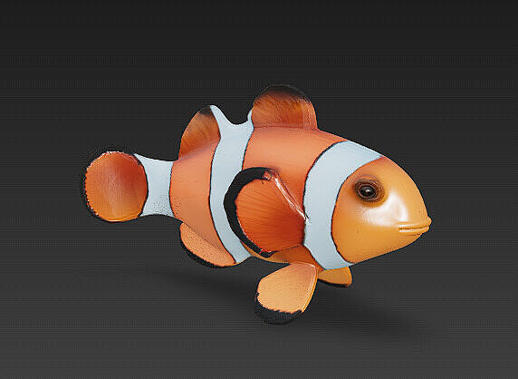 Clown Fish Realistic 3D Model Basic - Low Poly Realistic Low-poly 3D model