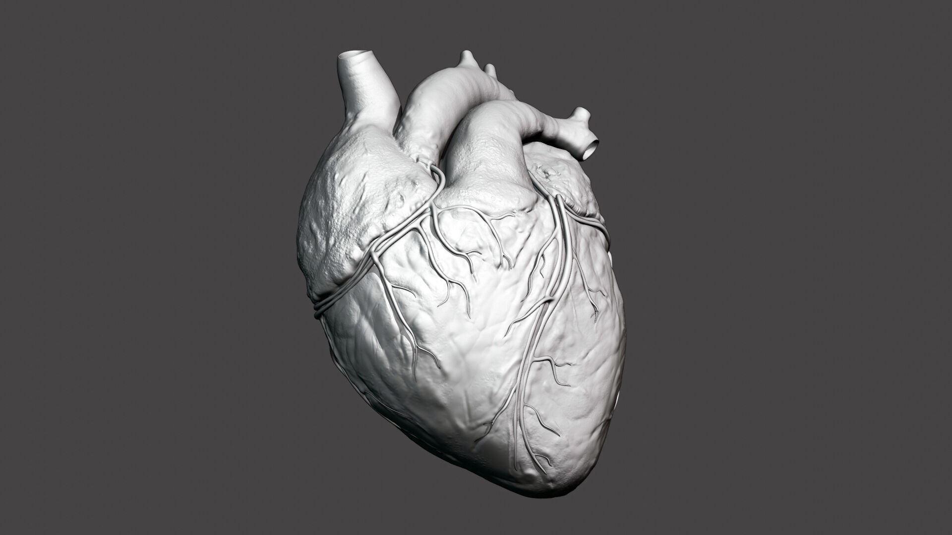 Realistic 3D Human Heart Model  Animated  Game Ready  PBR Low-poly 3D model_9