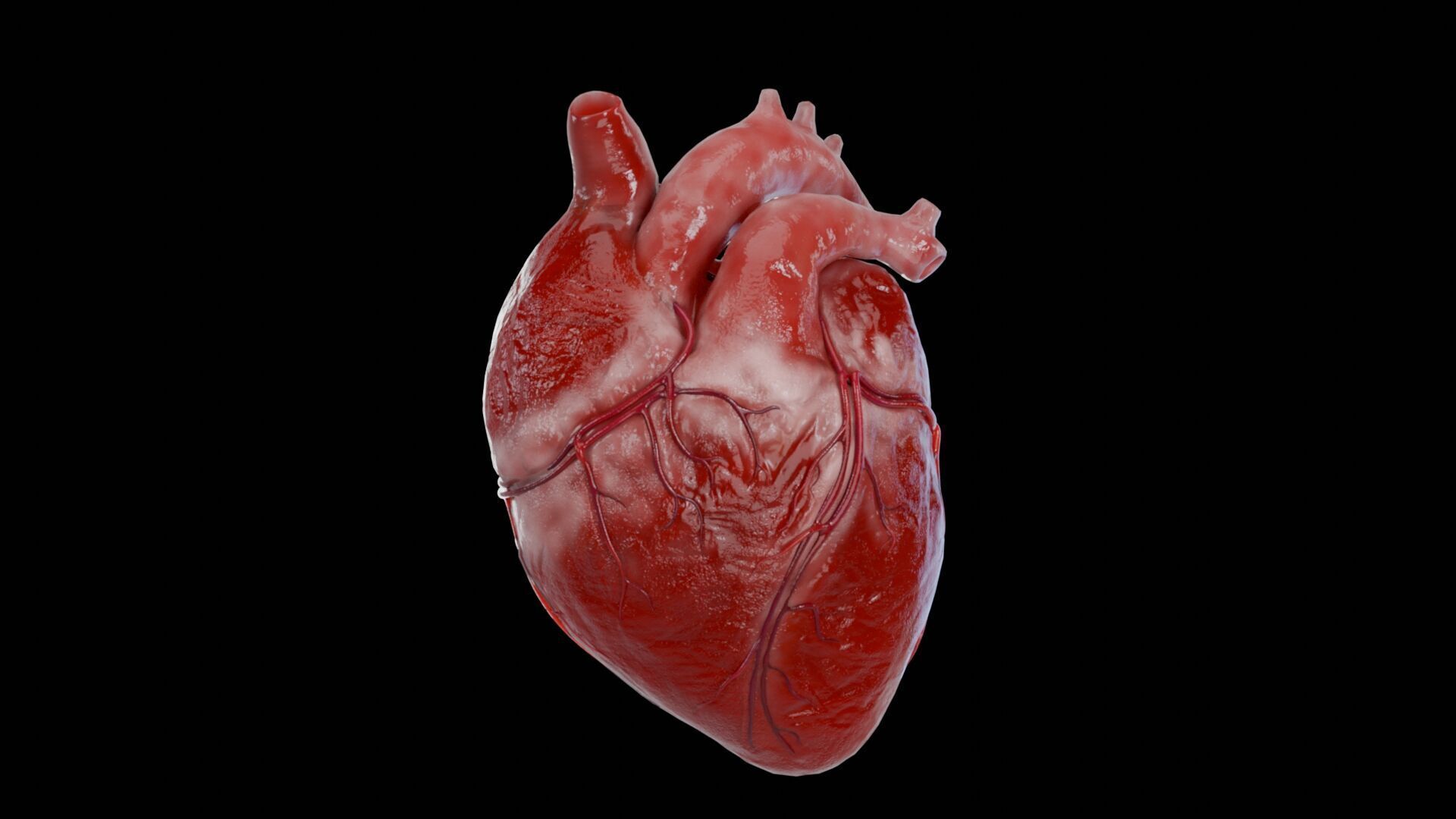 Realistic 3D Human Heart Model  Animated  Game Ready  PBR Low-poly 3D model_2