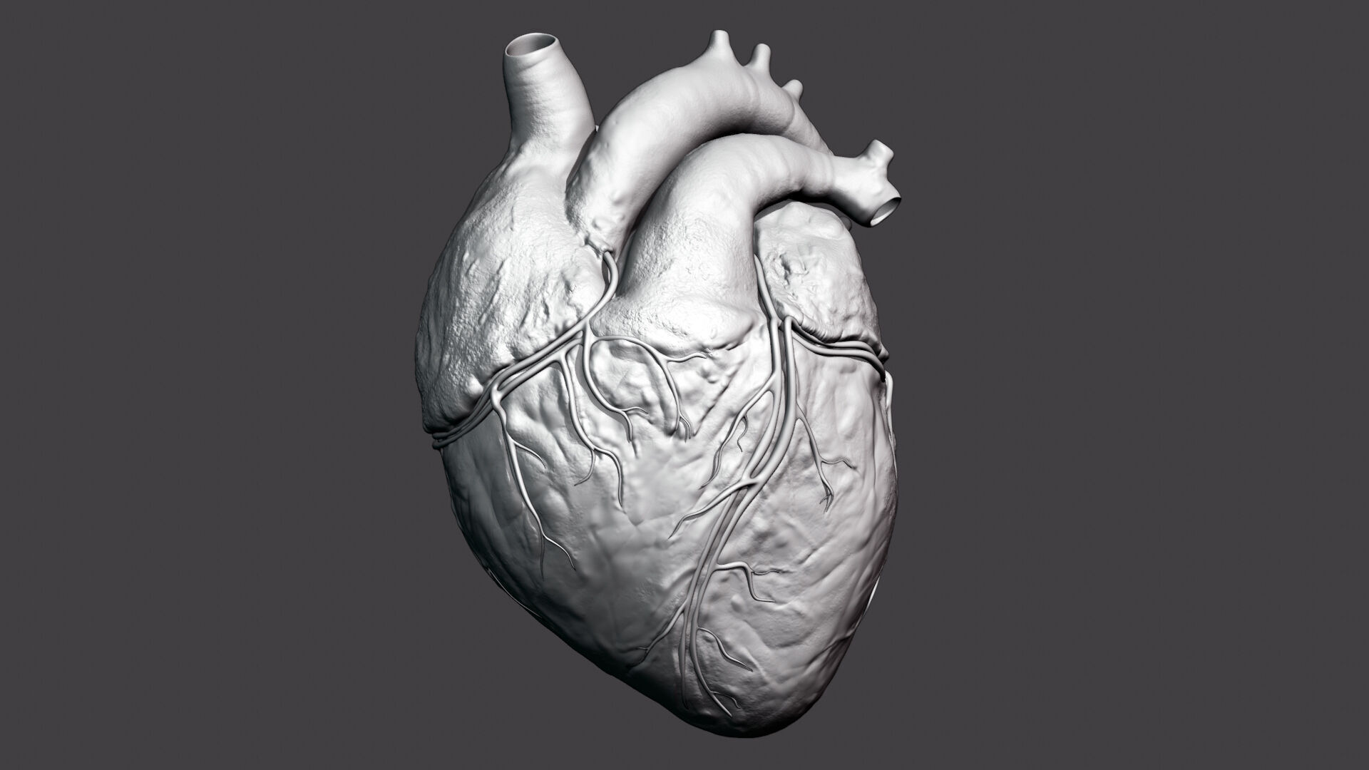 Realistic 3D Human Heart Model  Animated  Game Ready  PBR Low-poly 3D model_7