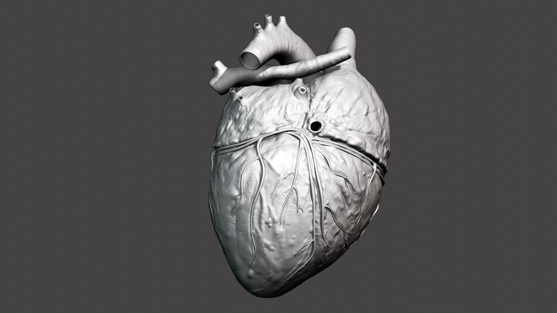 Realistic 3D Human Heart Model  Animated  Game Ready  PBR Low-poly 3D model_8