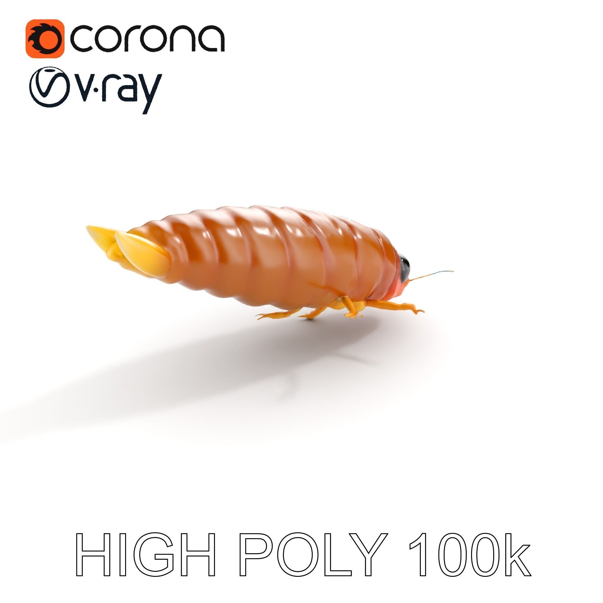 Insect Larva D Model Pack for Visualization and Games Low-poly 3D model_24