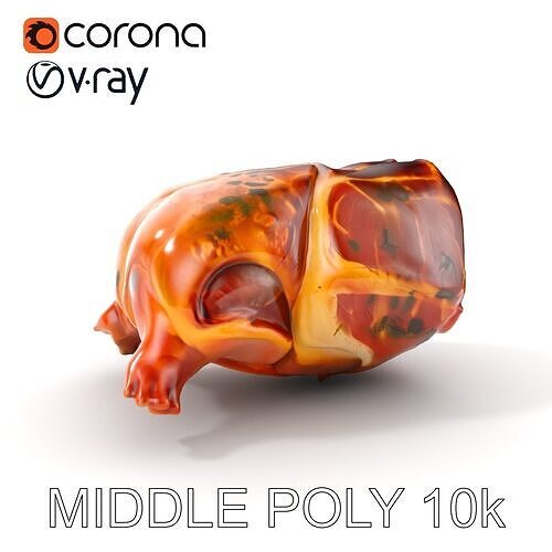 Realistic Raw Meat Model Pack for Culinary Visuals Low-poly 3D model 6