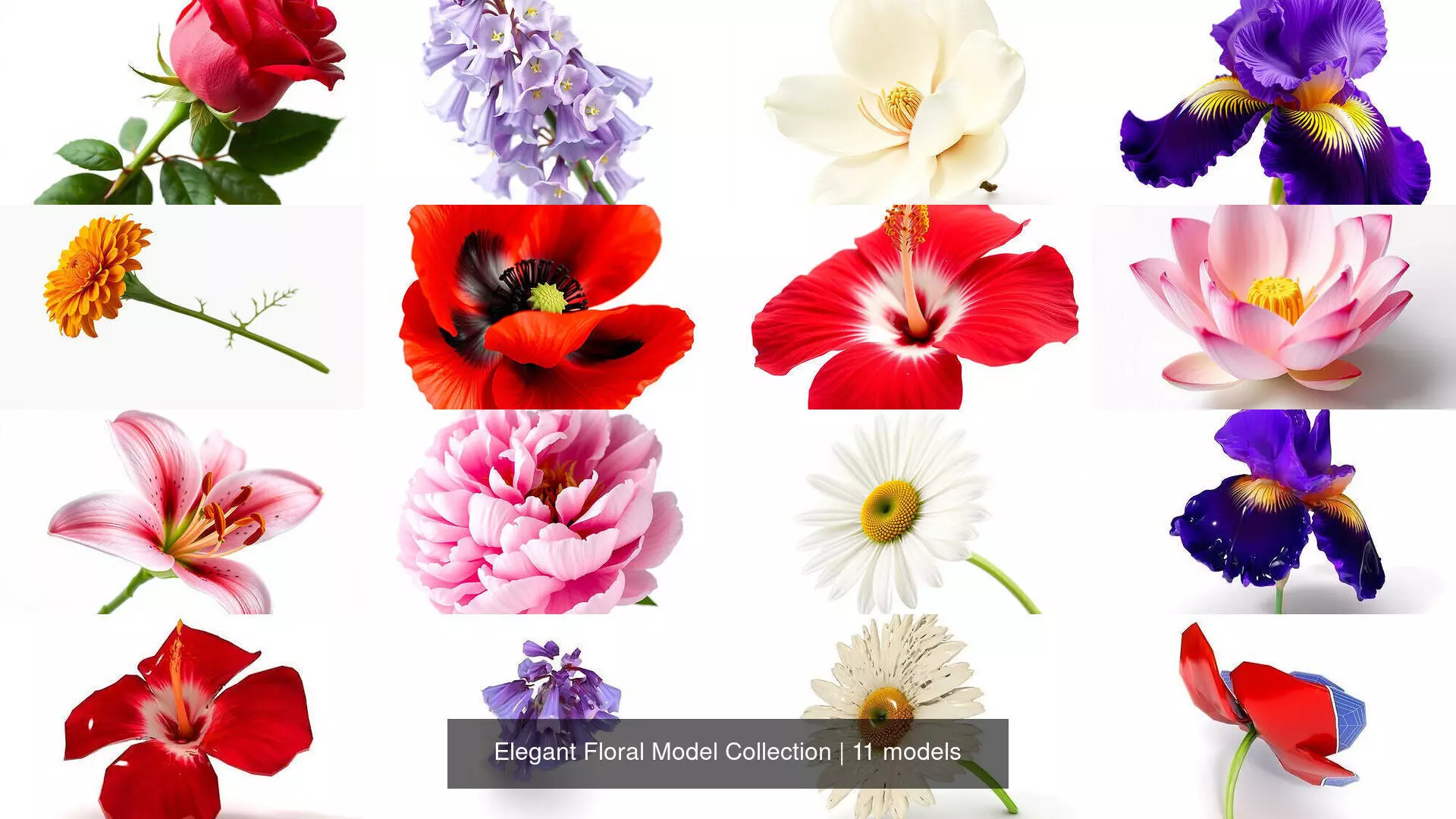 Elegant Floral Model Collection _0