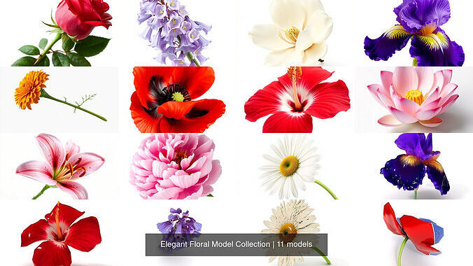 Elegant Floral Model Collection 