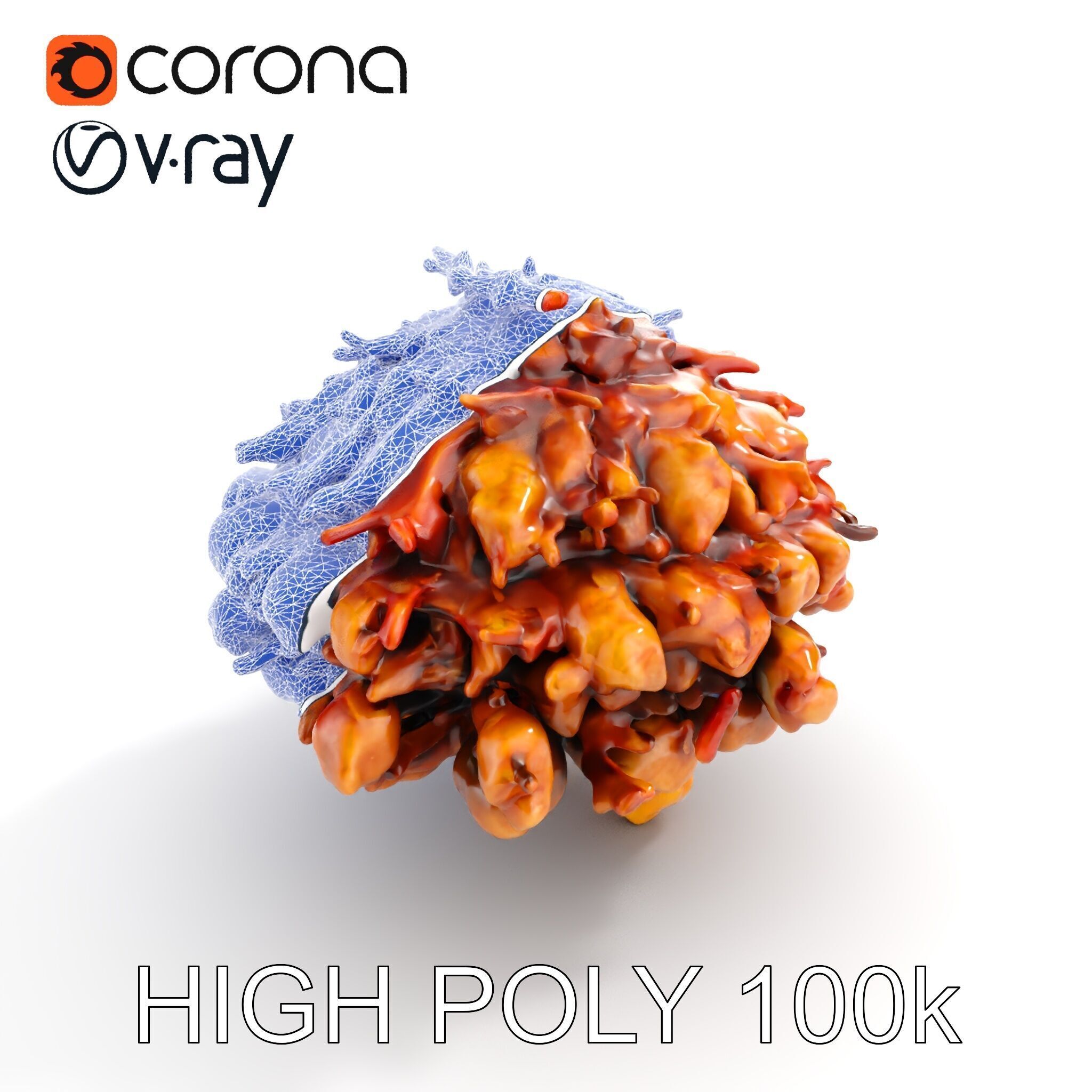 Mushroom Cuisine Model Pack Low-poly 3D model_9