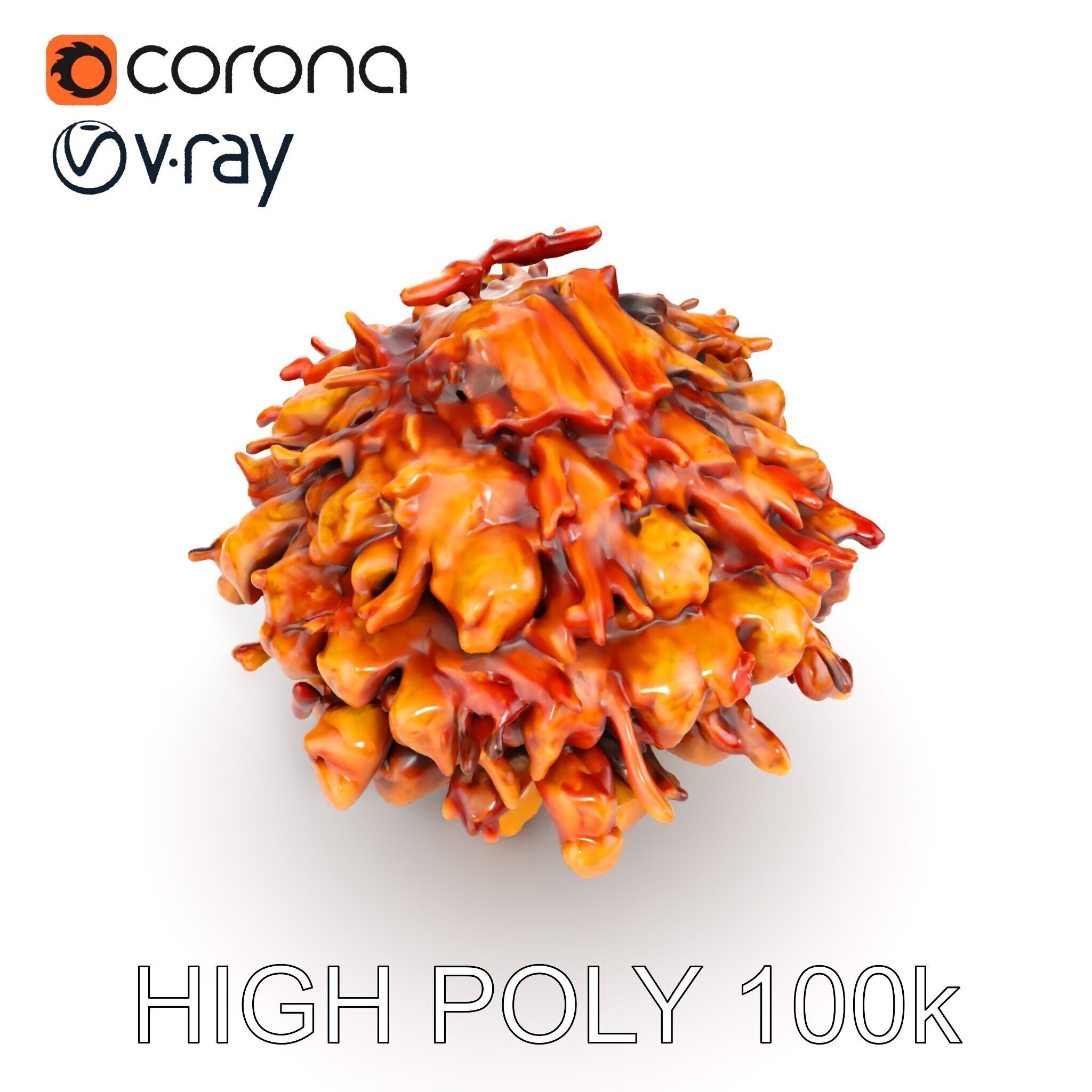 Mushroom Cuisine Model Pack Low-poly 3D model_8