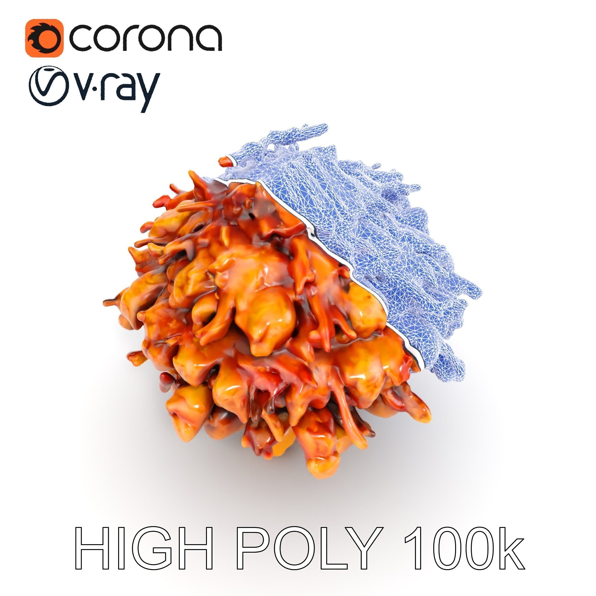 Mushroom Cuisine Model Pack Low-poly 3D model_24