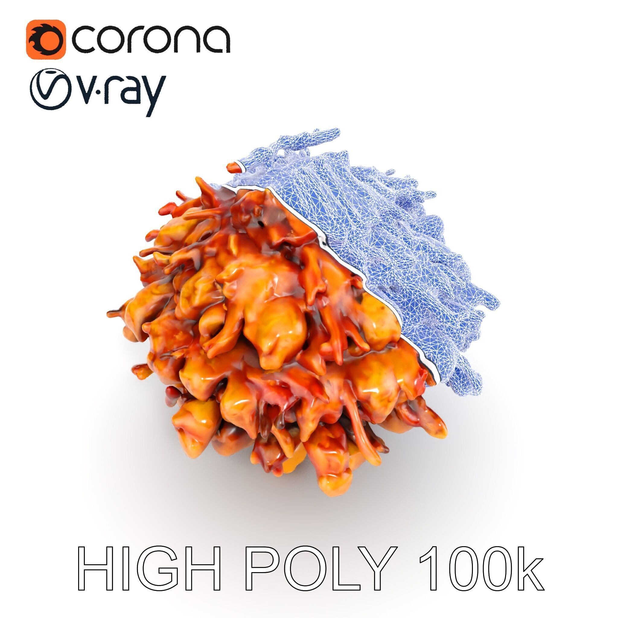 Mushroom Cuisine Model Pack Low-poly 3D model_15