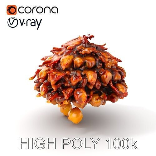 Mushroom Cuisine Model Pack Low-poly 3D model
