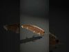 Realistic Worm Model Pack for D Rendering and Gaming Low-poly 3D model_2