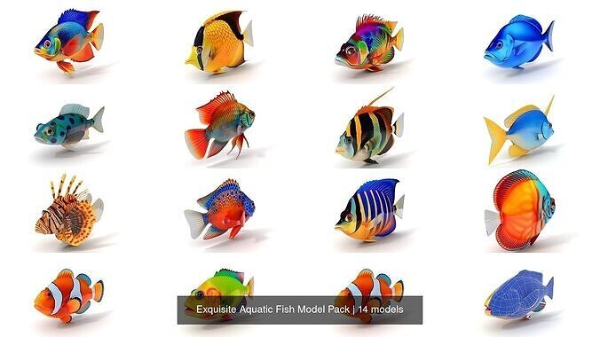 Exquisite Aquatic Fish Model Pack 3D Model Collection