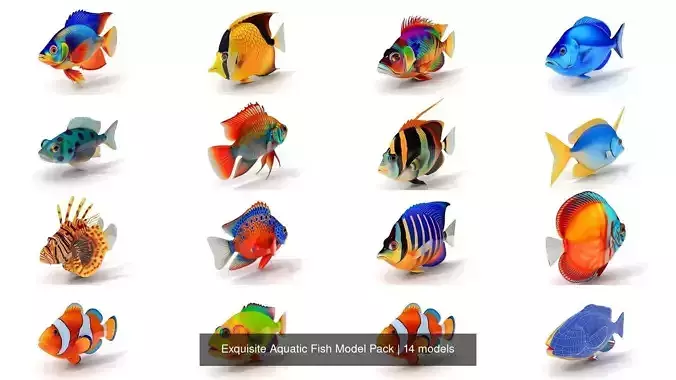 Exquisite Aquatic Fish Model Pack 3D Model Collection