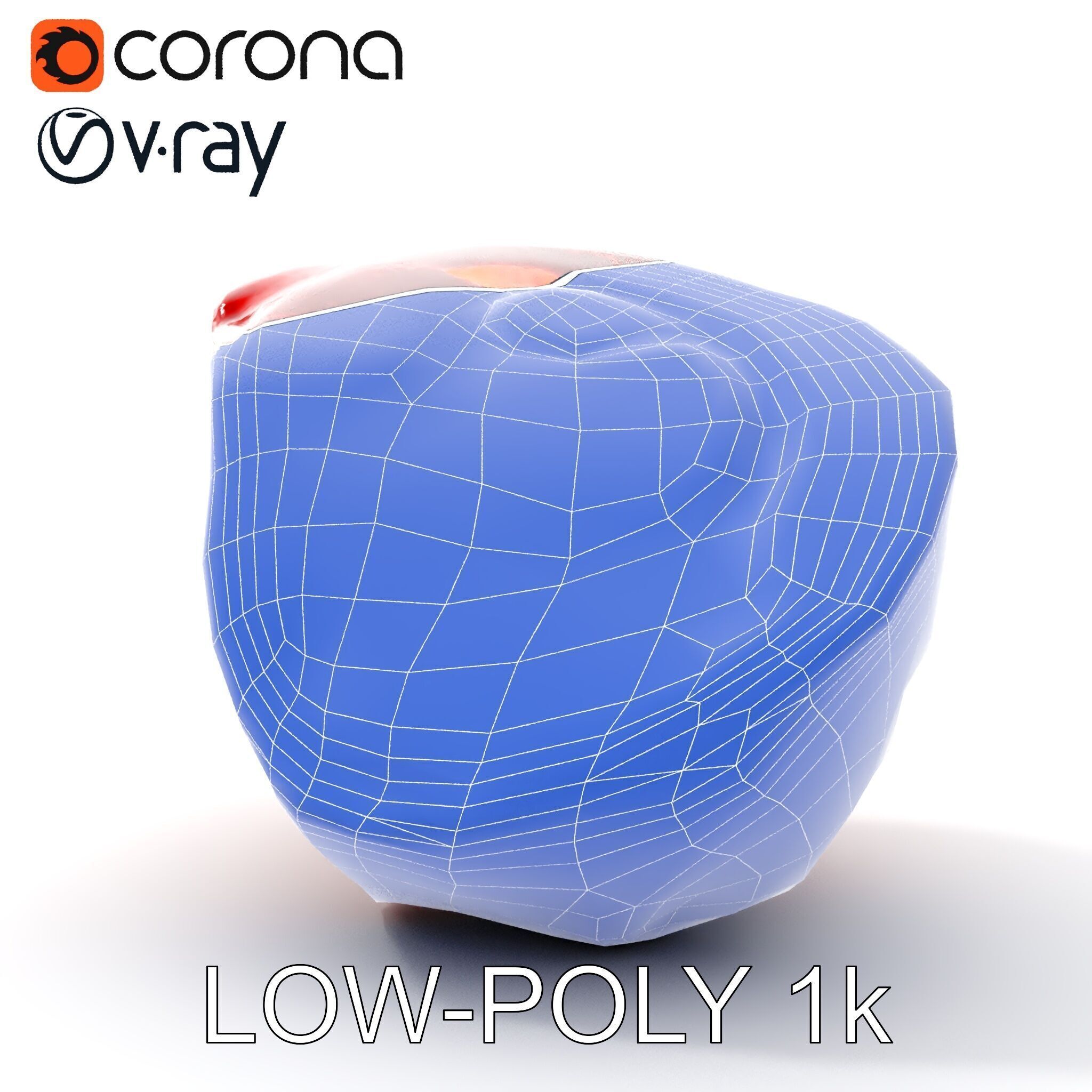 Raw Meat D Model Pack for Realistic Rendering Low-poly 3D model_24