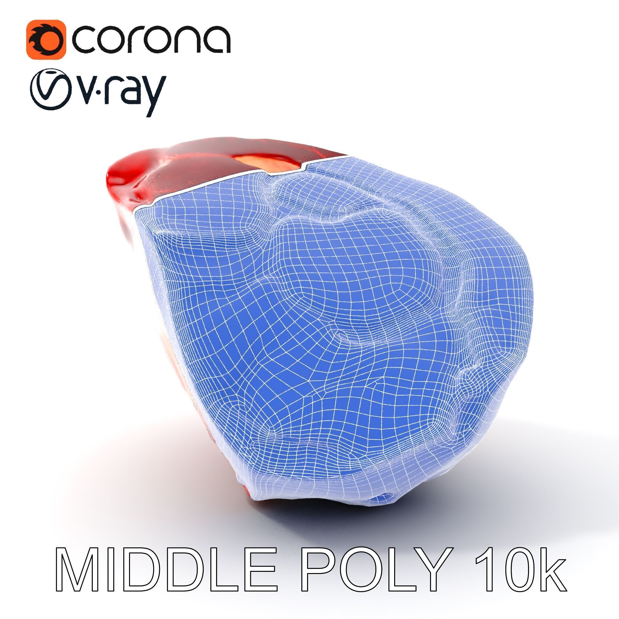 Raw Meat D Model Pack for Realistic Rendering Low-poly 3D model_14