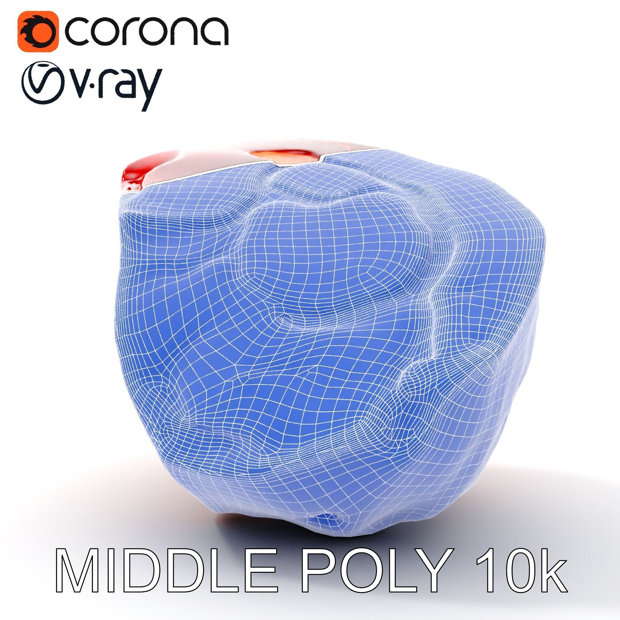 Raw Meat D Model Pack for Realistic Rendering Low-poly 3D model_23