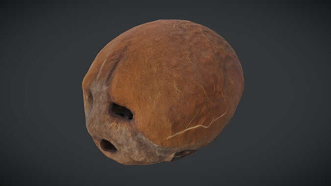 Coconut Low-poly 3D model