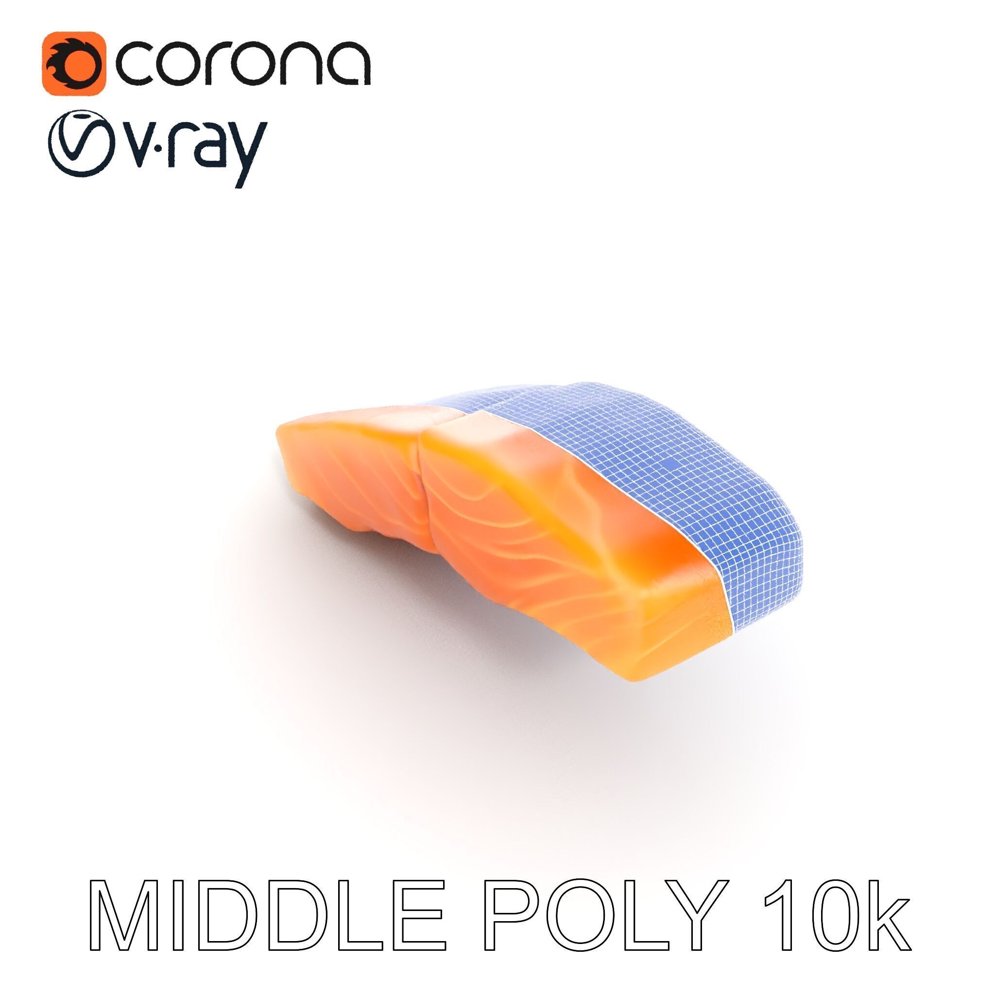 Salmon Fillet D Model Pack Low-poly 3D model_11