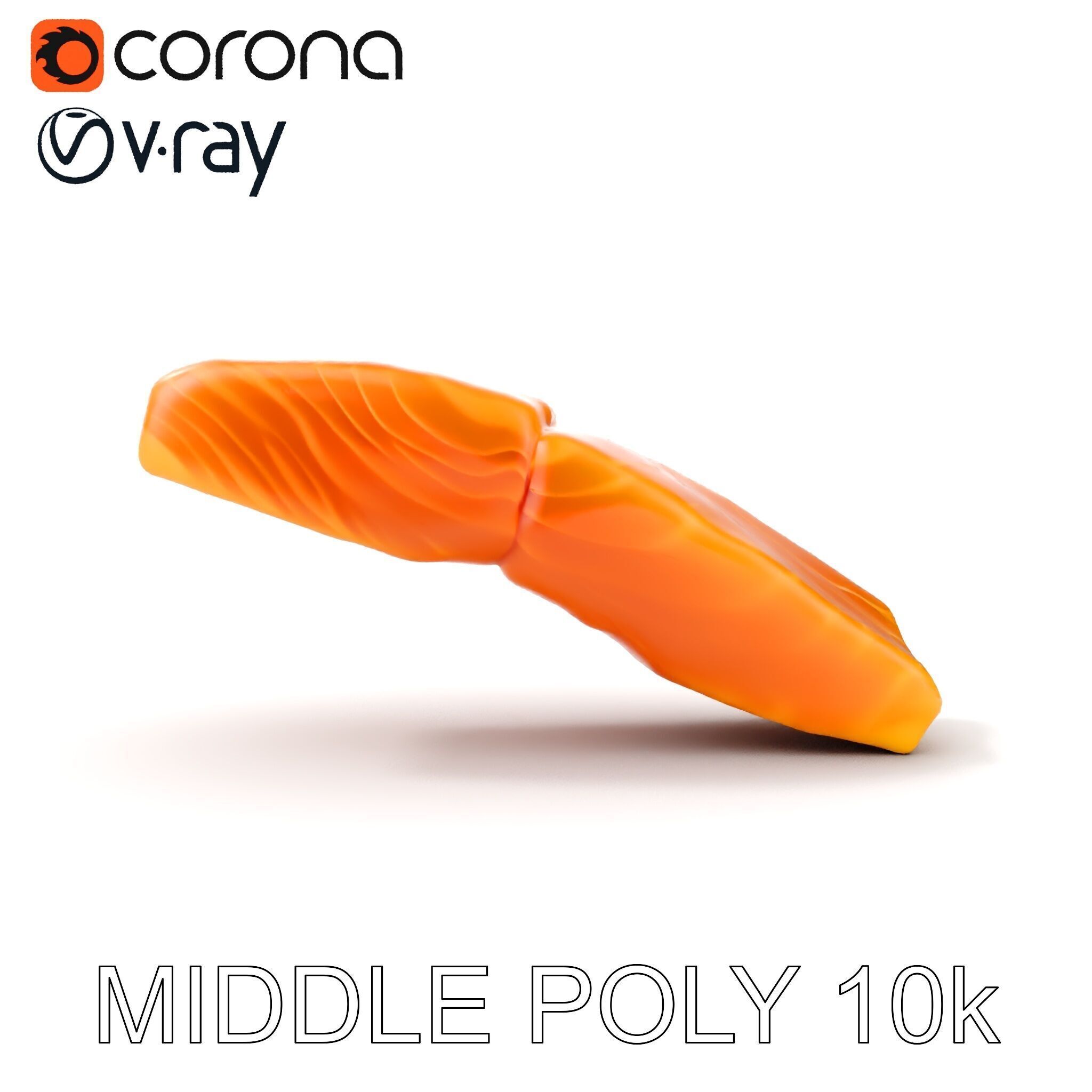 Salmon Fillet D Model Pack Low-poly 3D model_28