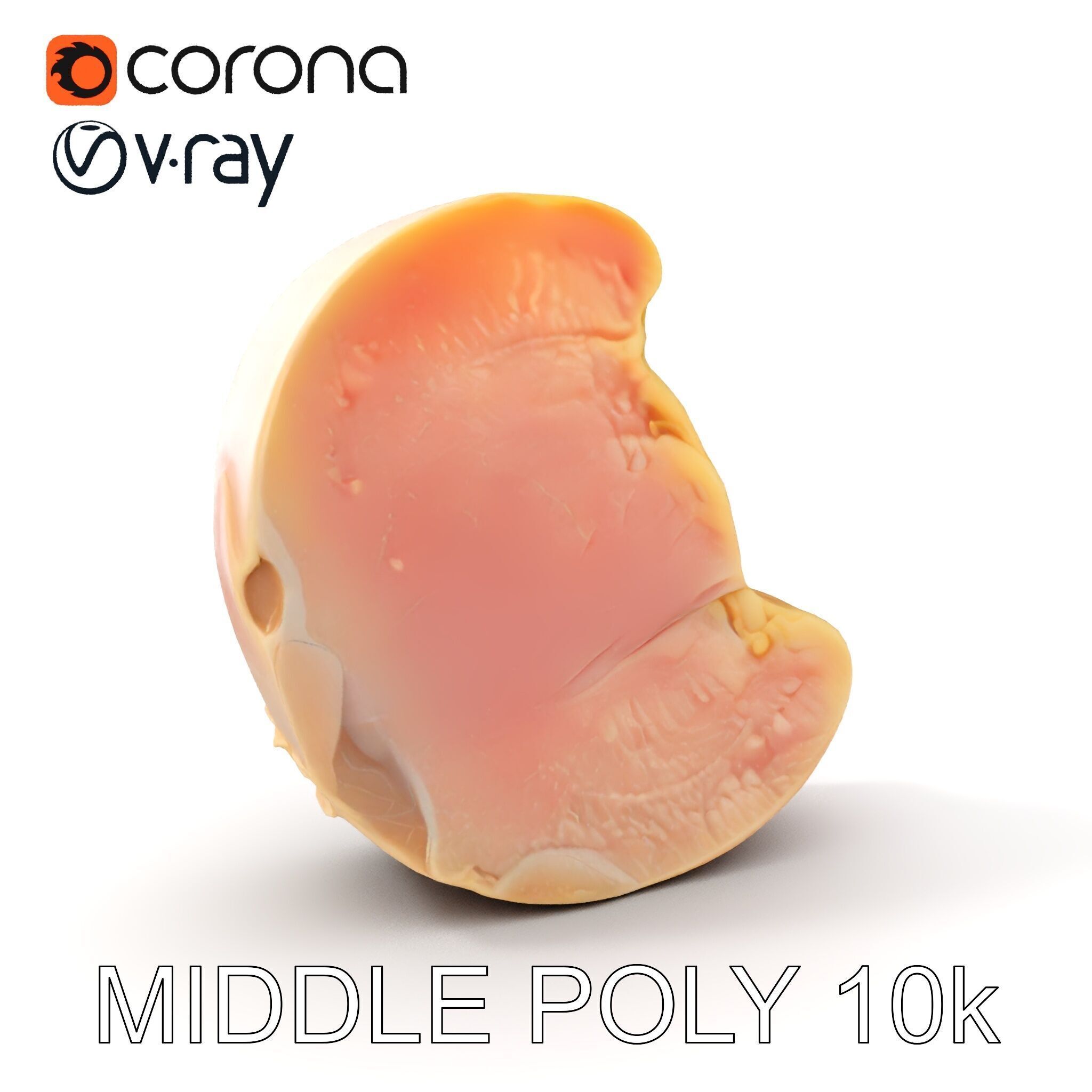 Raw Chicken Breast D Model Pack for Culinary Projects Low-poly 3D model_17