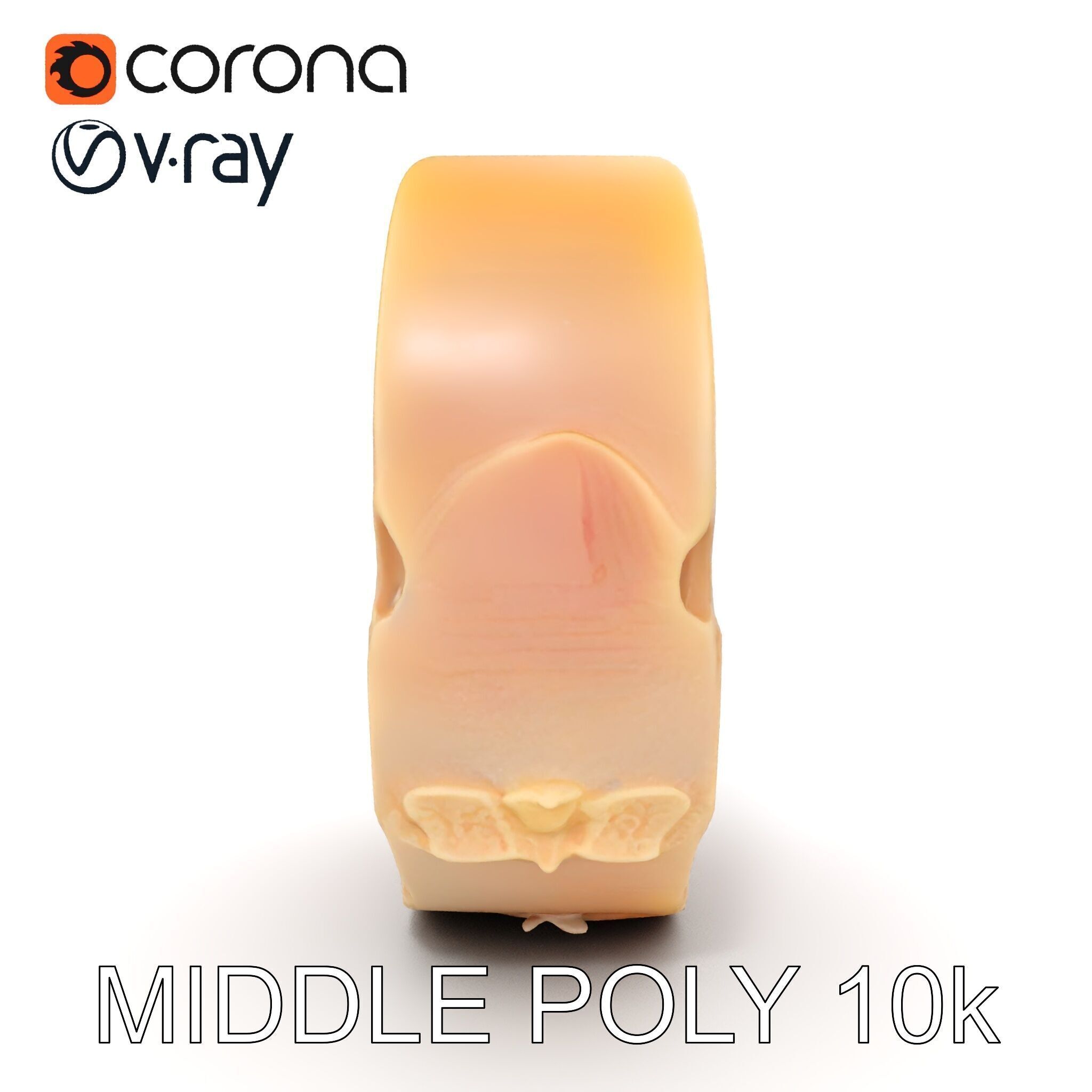 Raw Chicken Breast D Model Pack for Culinary Projects Low-poly 3D model_26