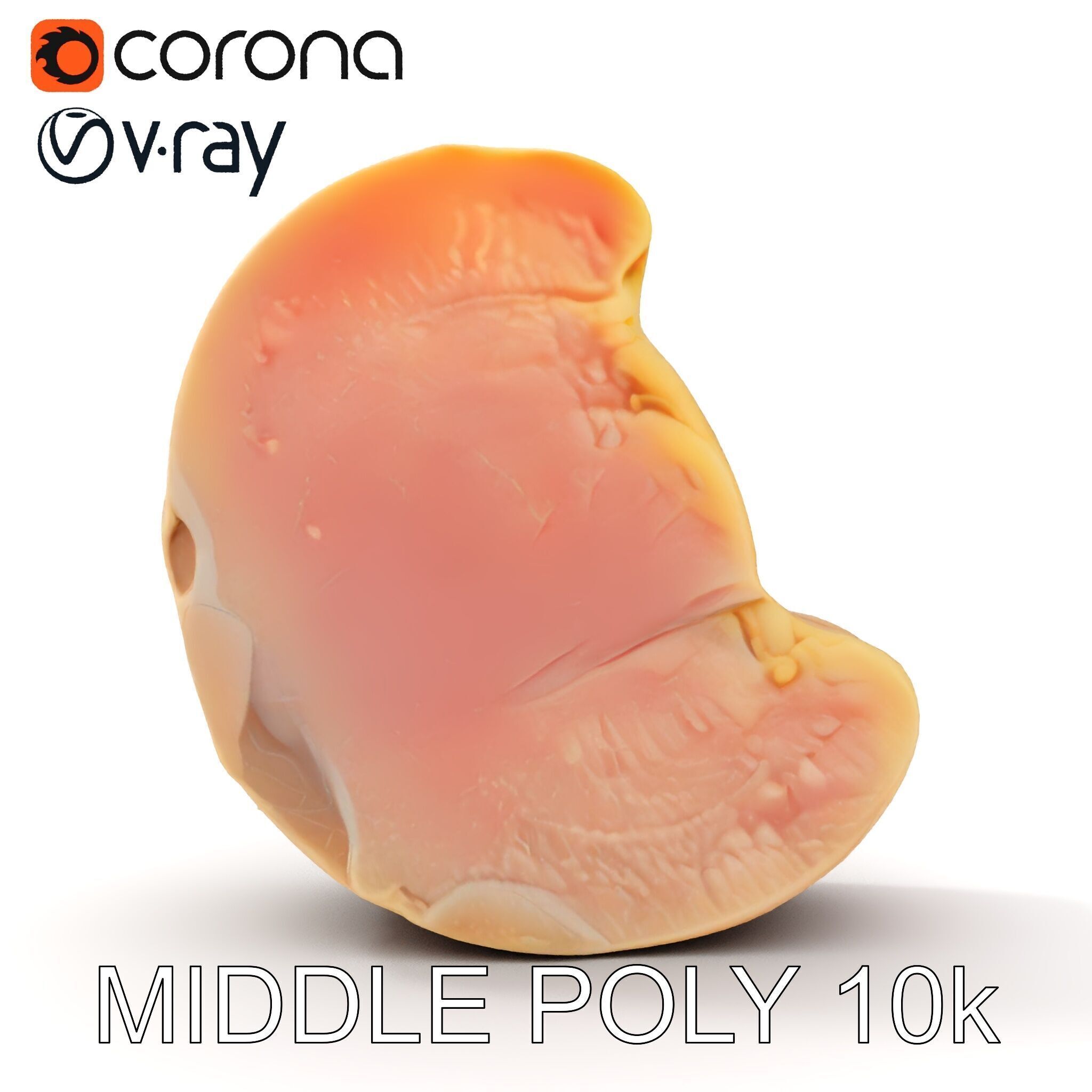 Raw Chicken Breast D Model Pack for Culinary Projects Low-poly 3D model_14