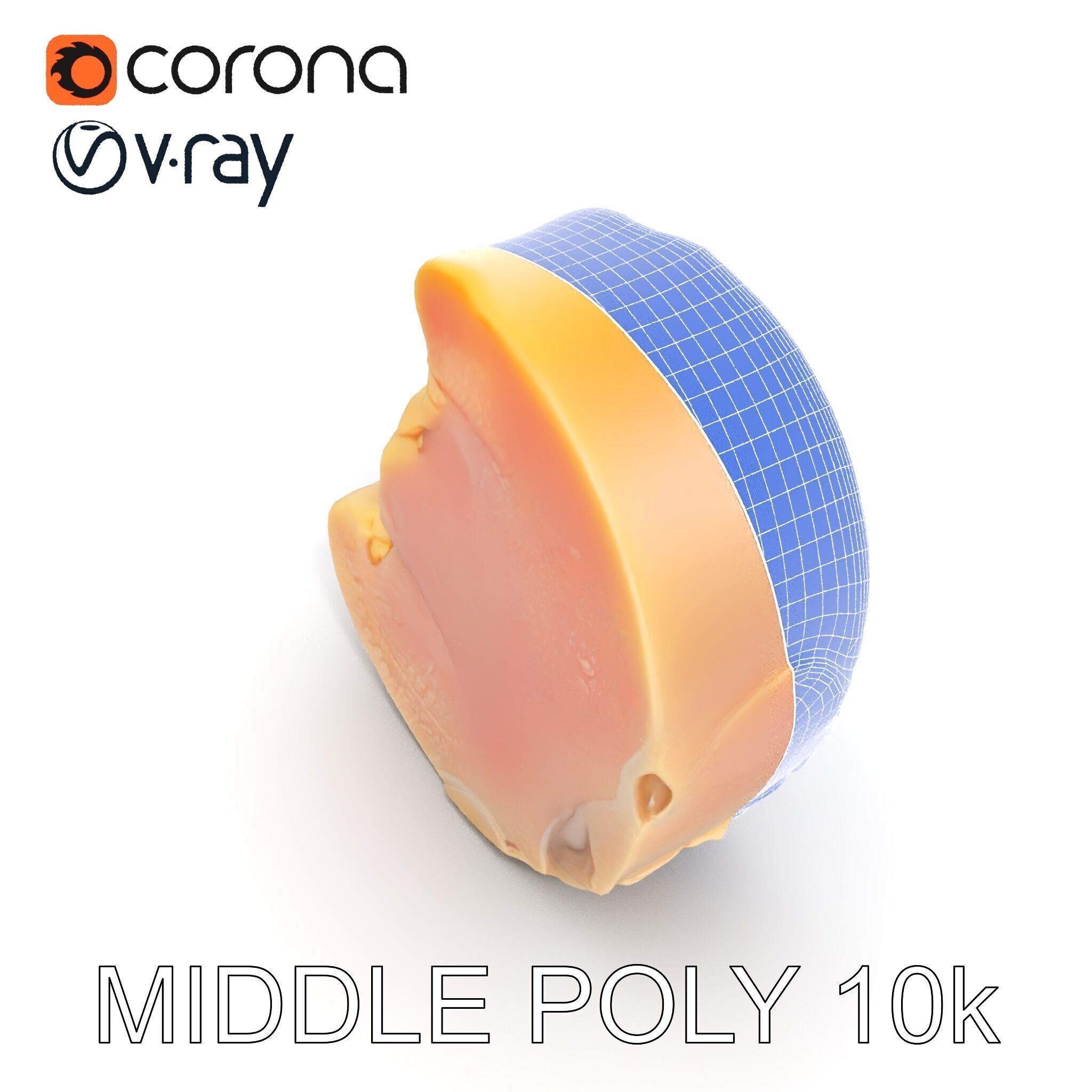 Raw Chicken Breast D Model Pack for Culinary Projects Low-poly 3D model_29