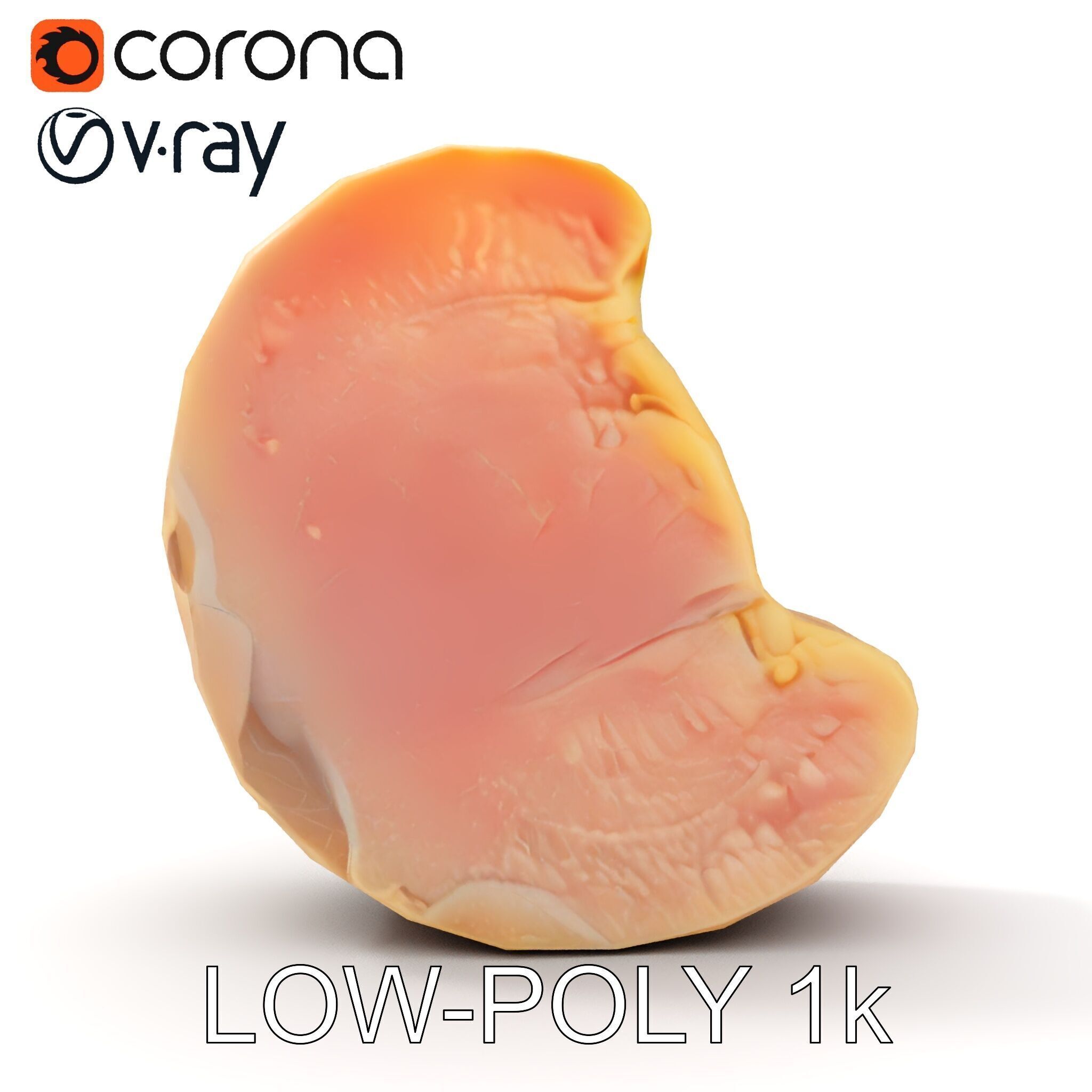 Raw Chicken Breast D Model Pack for Culinary Projects Low-poly 3D model_21