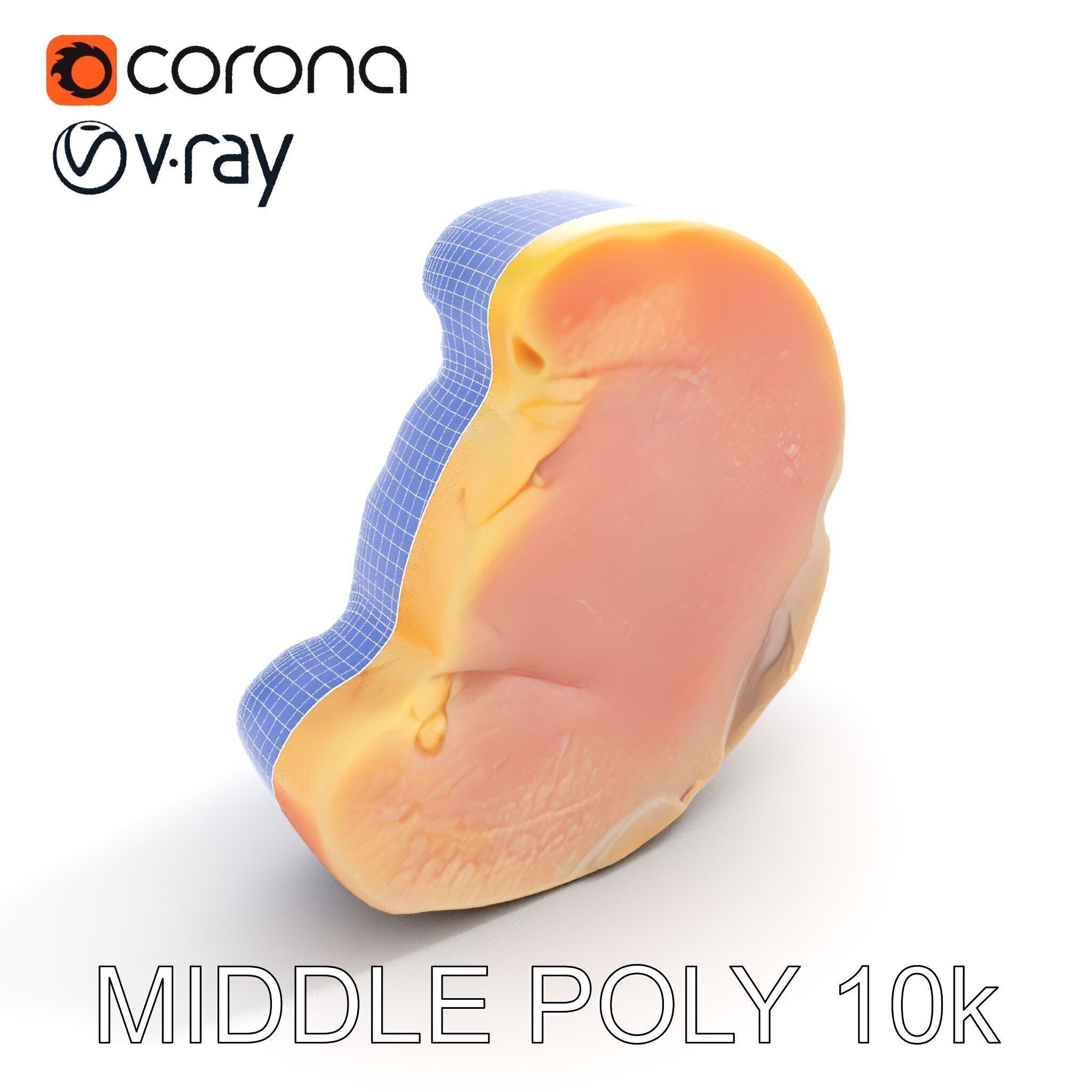 Raw Chicken Breast D Model Pack for Culinary Projects Low-poly 3D model_11