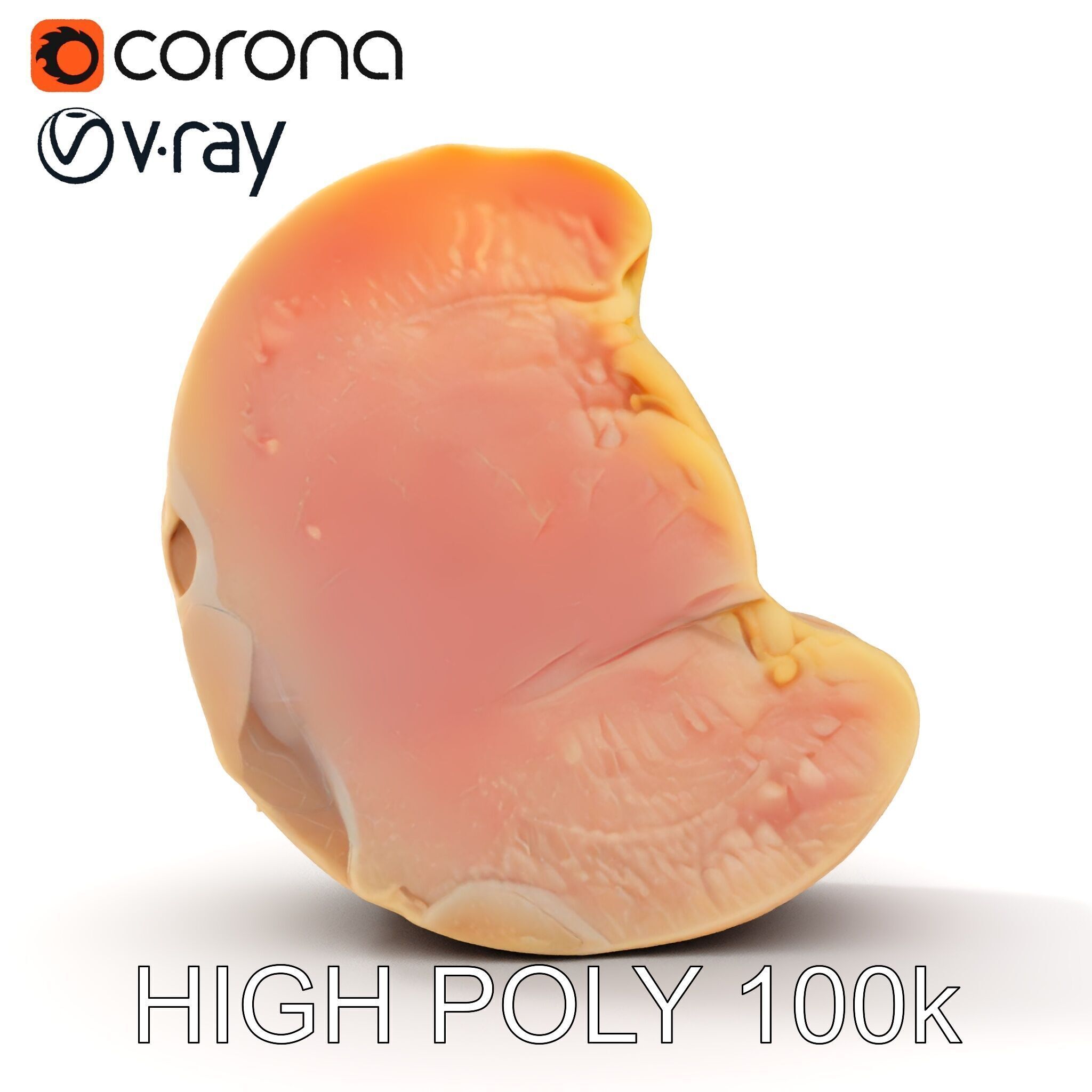Raw Chicken Breast D Model Pack for Culinary Projects Low-poly 3D model_22