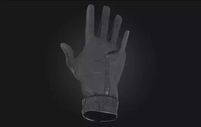 Gloved Hand Protective Handwear Model