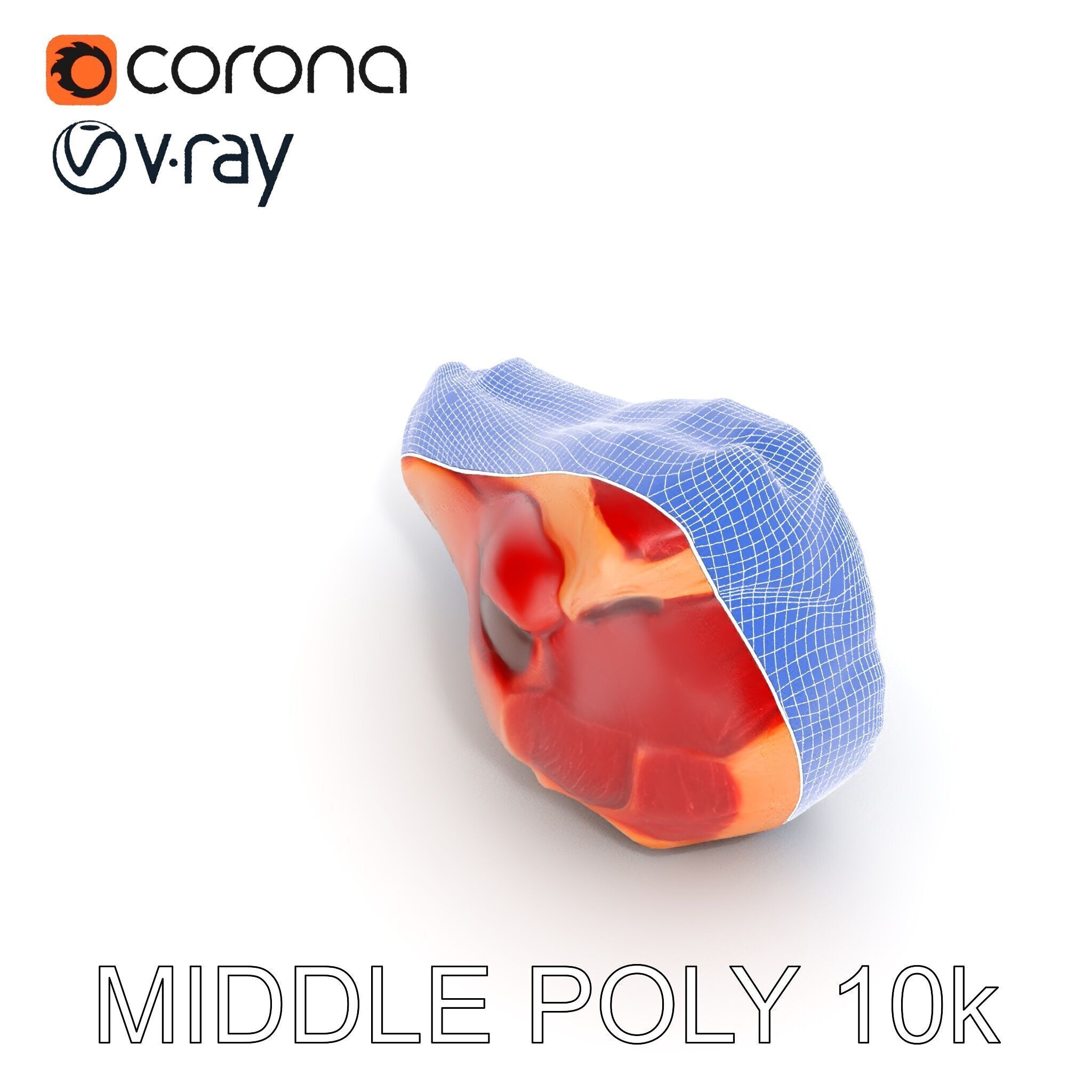 TBone Steak D Model Pack for Realistic Rendering Low-poly 3D model_28