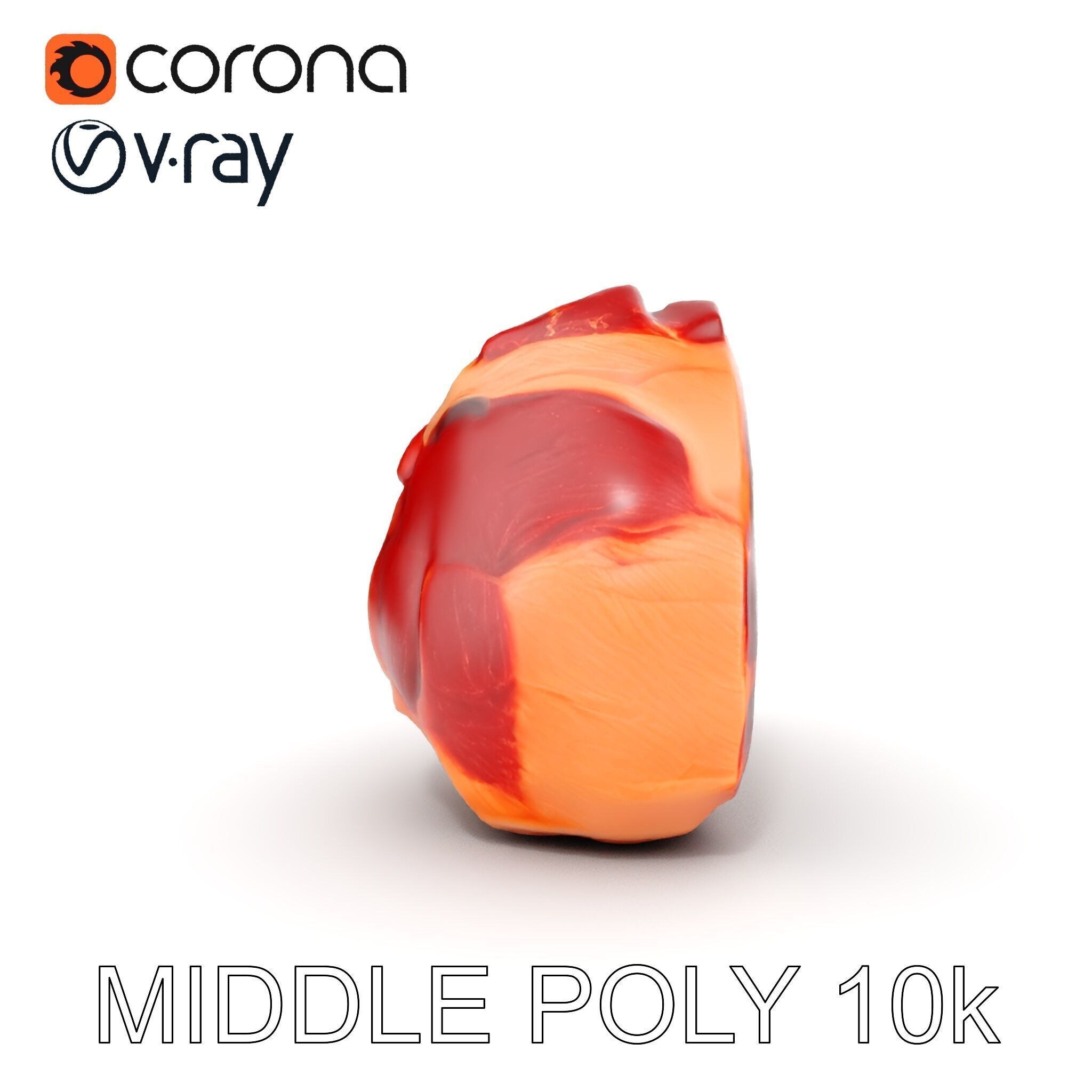 TBone Steak D Model Pack for Realistic Rendering Low-poly 3D model_16