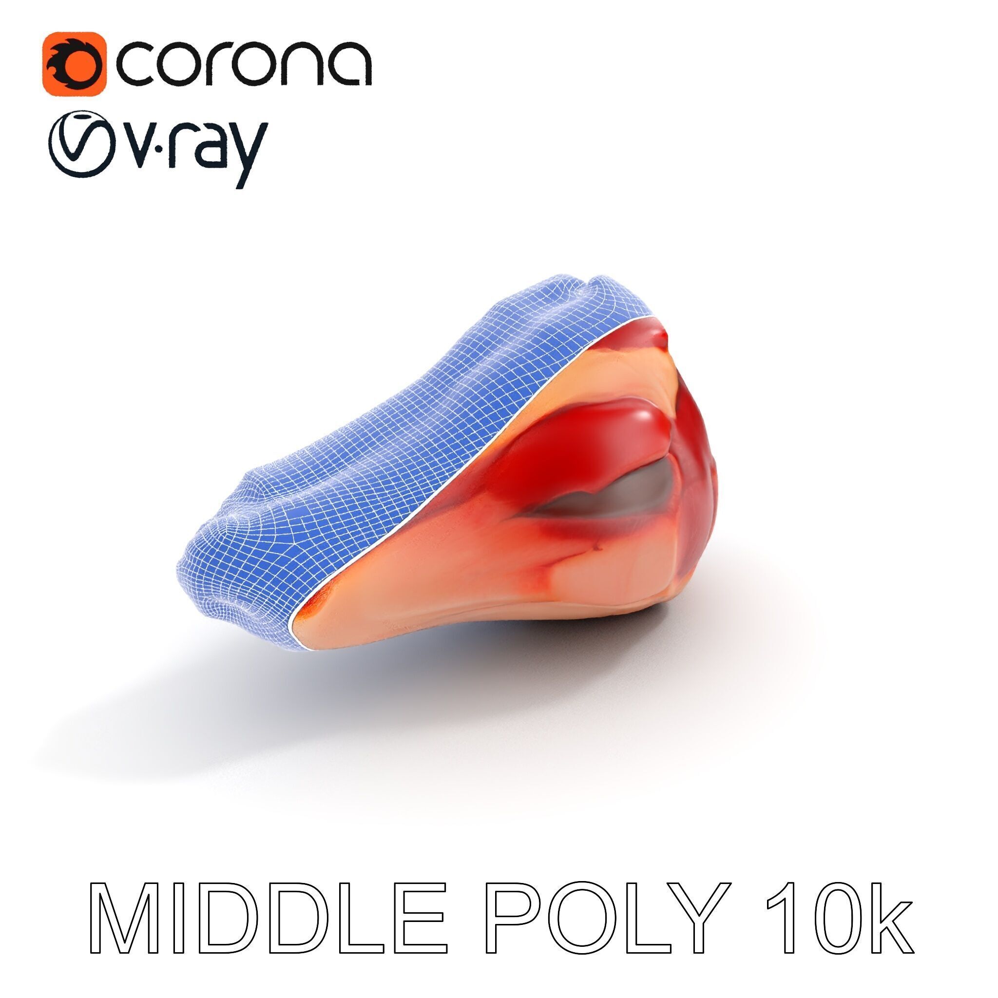 TBone Steak D Model Pack for Realistic Rendering Low-poly 3D model_31