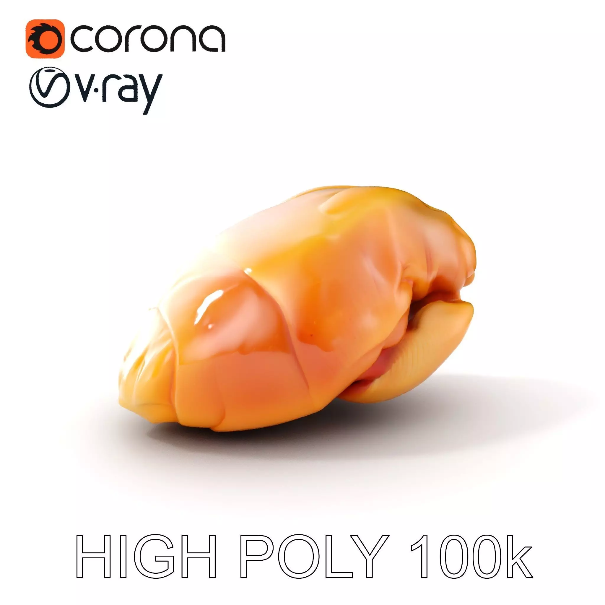 Realistic Chicken Breast Model Pack for Culinary and Educatio... Low-poly 3D model_0