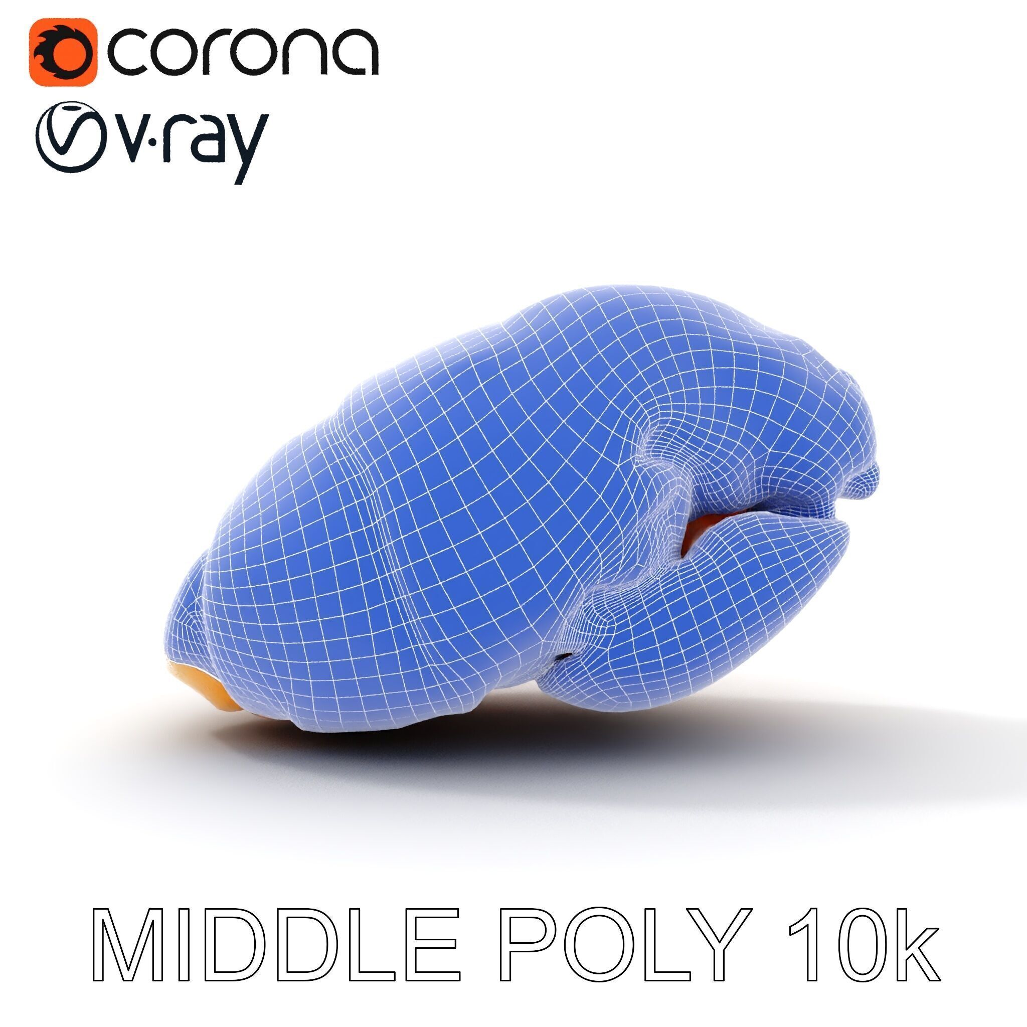 Realistic Chicken Breast Model Pack for Culinary and Educatio... Low-poly 3D model_30