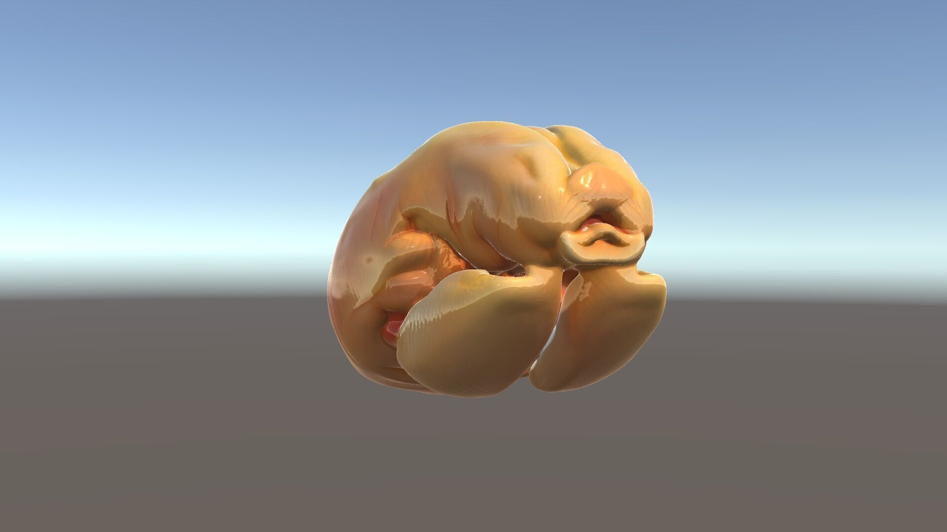 Realistic Chicken Breast Model Pack for Culinary and Educatio... Low-poly 3D model_5