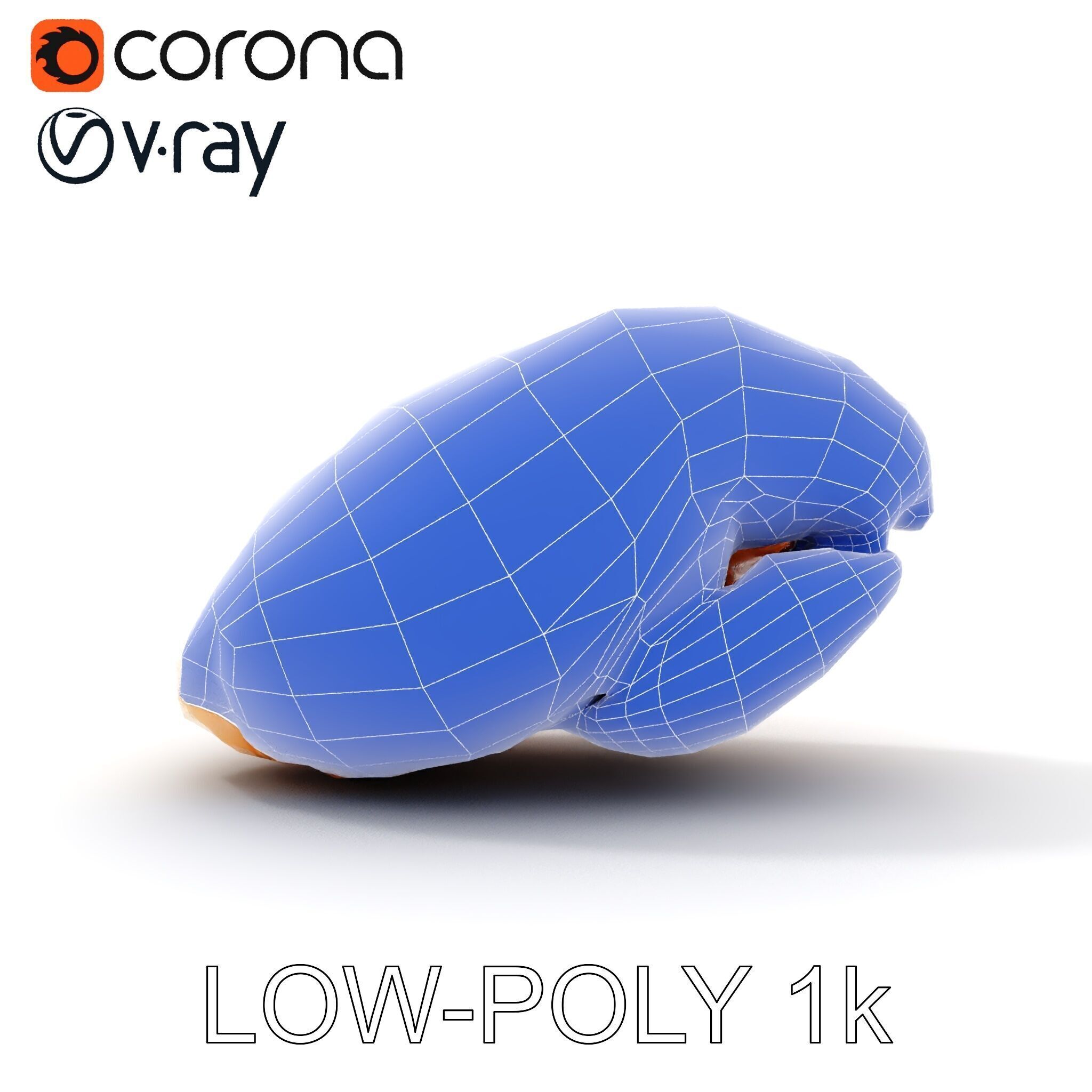 Realistic Chicken Breast Model Pack for Culinary and Educatio... Low-poly 3D model_20