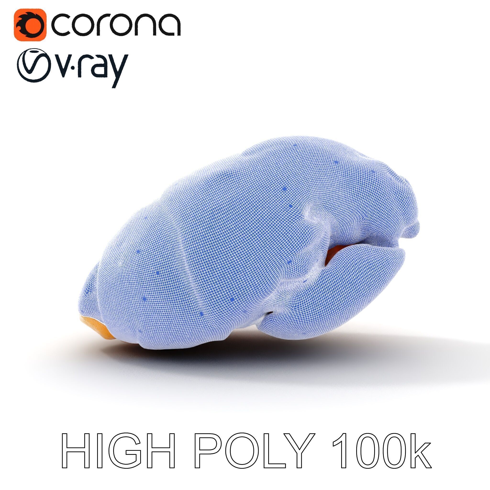 Realistic Chicken Breast Model Pack for Culinary and Educatio... Low-poly 3D model_21