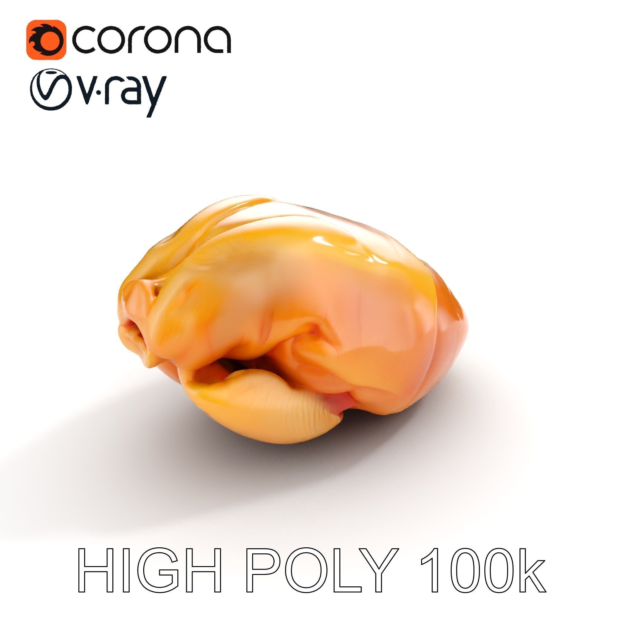 Realistic Chicken Breast Model Pack for Culinary and Educatio... Low-poly 3D model_12