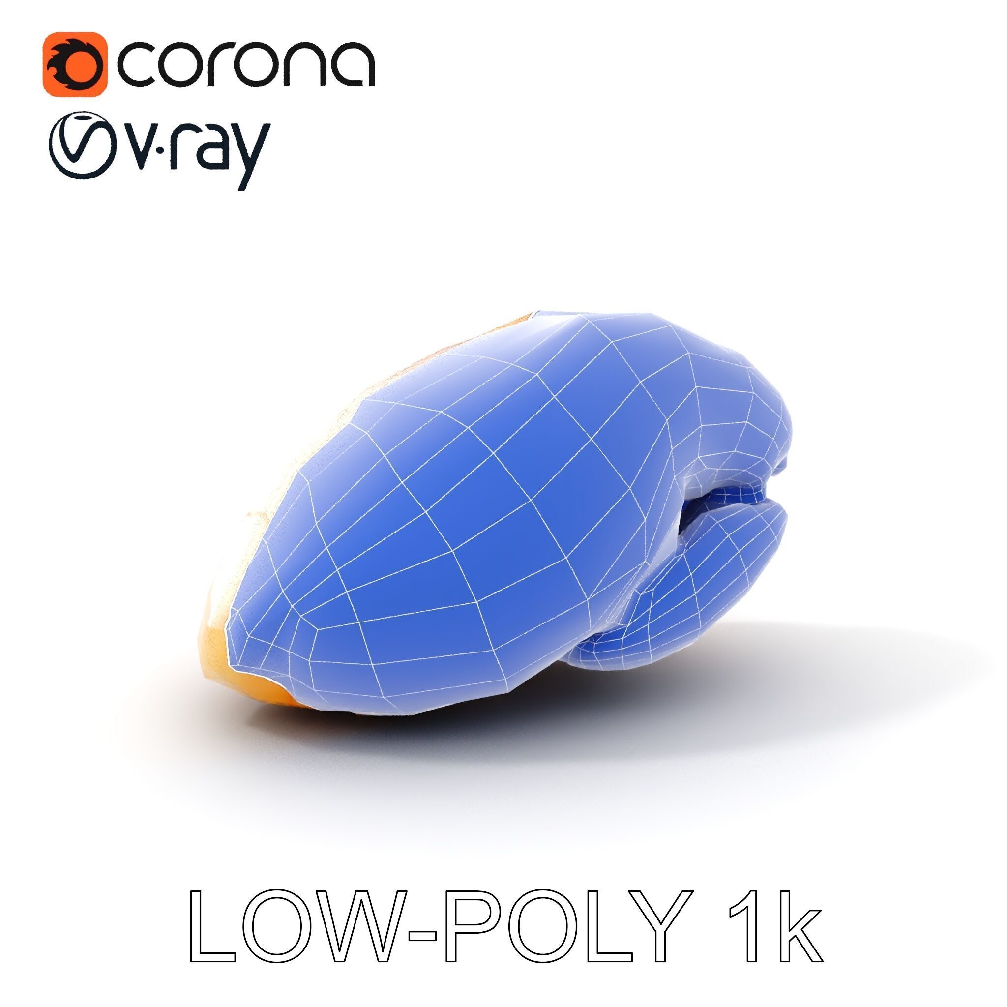 Realistic Chicken Breast Model Pack for Culinary and Educatio... Low-poly 3D model_31