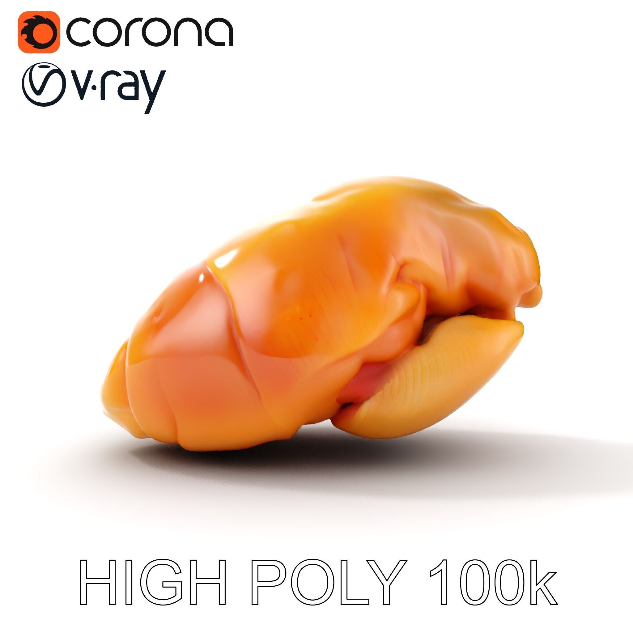 Realistic Chicken Breast Model Pack for Culinary and Educatio... Low-poly 3D model_18